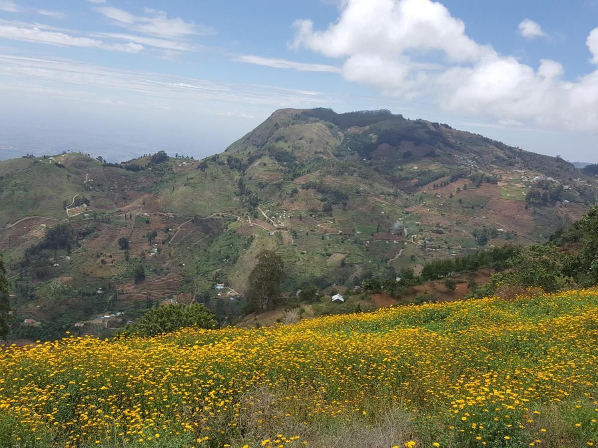 Cloudwalks Kodaikanal Eksteriør billede