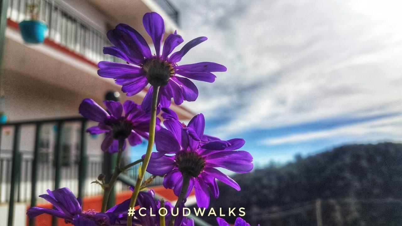 Cloudwalks Kodaikanal Eksteriør billede